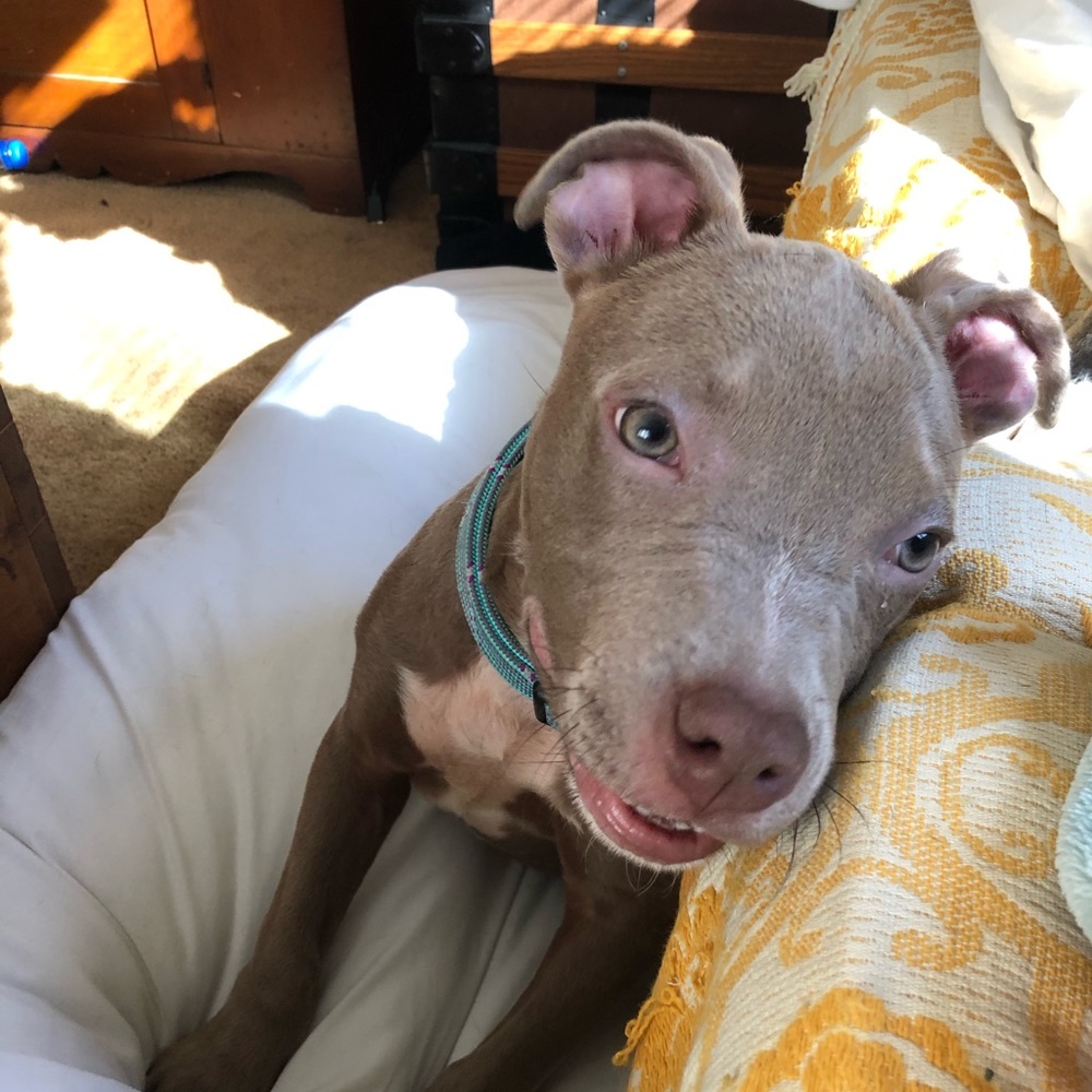 Meet your Posher, Emily